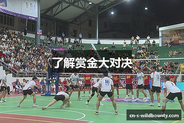 了解赏金大对决